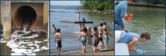water quality and swimming in the Hudson