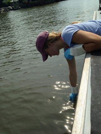 Emma grabs a sample we'll analyze for Enterococcus concentrations. We've processed roughly 5,000 samples of water as part of our ongoing survey of Entero in the Hudson. Where there's entero, it's likely there are pathogens associated with sewage or other fecal contamination. Over time, we've learned a lot about factors that influence when and where it's best for swimmers like the 8 Bridge swimmers to enter the water. The open water, away from the shore, where they swim, tends to be a better bet than the shore, for instance. (Photo by Dan Shapley/Riverkeeper)