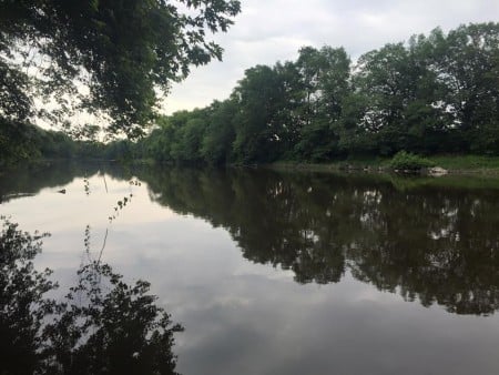 The Wallkill River near the Ulster County Fairgrounds, on the same morning the chicken excrement was observed. No evidence of pollution was visible in this beautiful stretch. (Photo courtesy Craig Chapman)