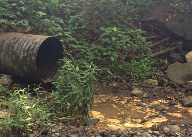 Orange discharge was observed in summer 2015 during water quality monitoring of the Sparta Brook in Ossining. (Photo by Gareth Hougham)