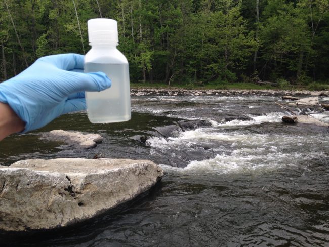 A water sample from the Rondout Creek near the popular High Falls swimming hole. (Photo by Dan Shapley / Riverkeeper)
