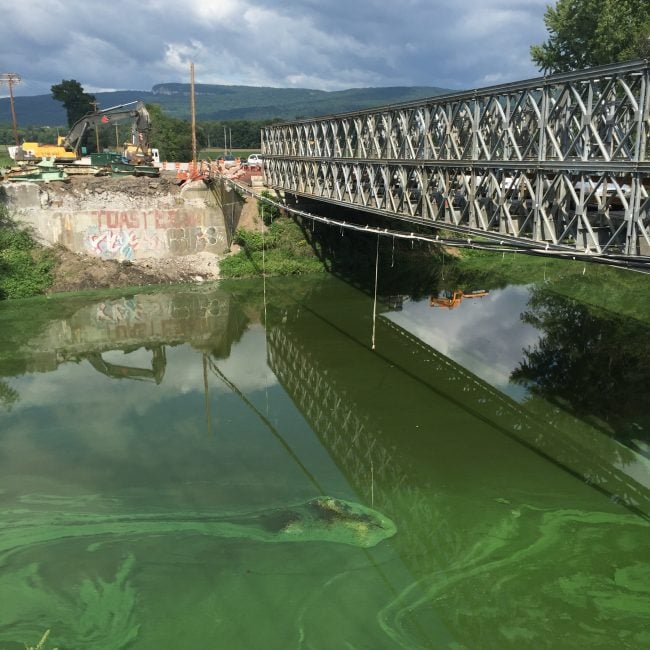 Algae near the Carmine Liberta replacement bridge over the Wallkill River in New Paltz on August 26, 2016. (Photo by Jason West / Wallkill River Watershed Alliance)