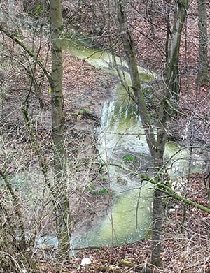 Pecks Creek runs green with silage