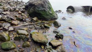 Haverstraw Beach fuel spill