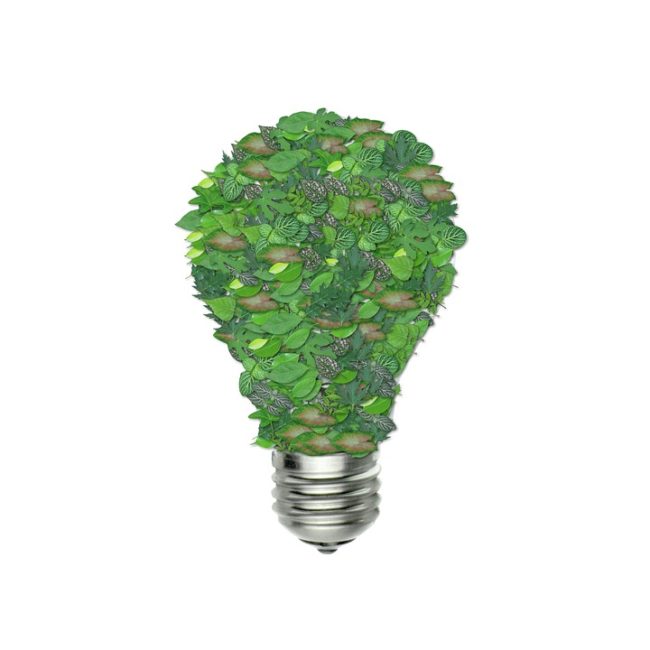 green-bulb-1440675_960_720