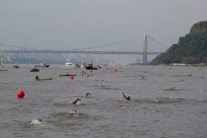 Swim season on the Hudson