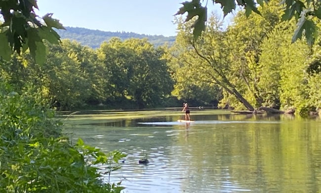 Paddle boarder on Wallkill River algal bloom