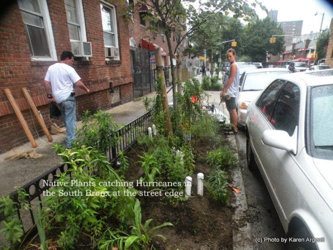 Green infrastructure in New York City's South Bronx