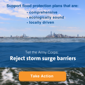 Tell the Army Corps Reject storm surge barriers