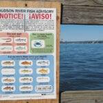 fish advisory