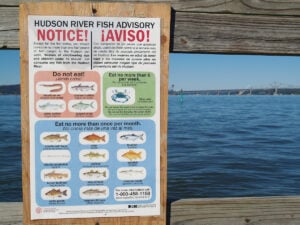 pcbs fish advisory