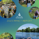 Impact Report thumbnail